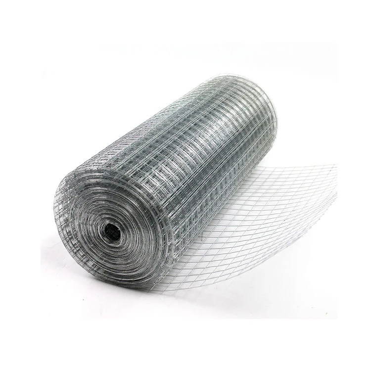 Galvanized Welded Wire Mesh